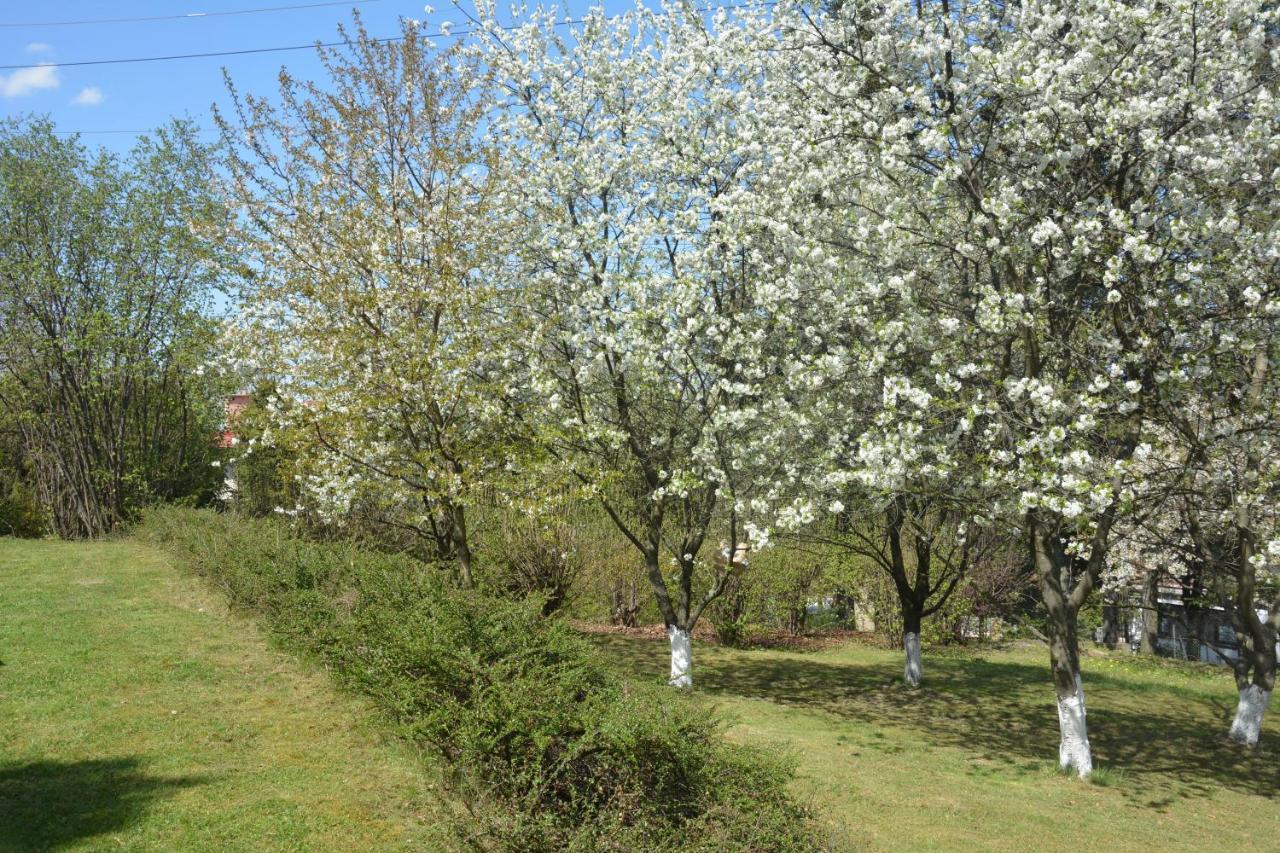 Beskidylla Glamp *